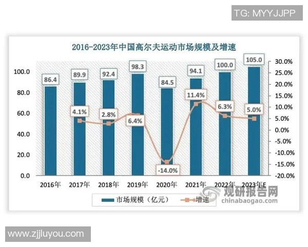 深圳网球队技术深度解析与训练方法探讨 深圳网球队技术深度解析与训练方法探讨