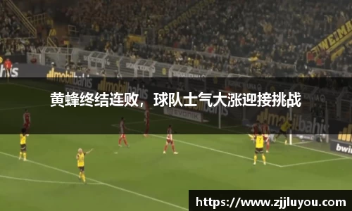 球速体育官方