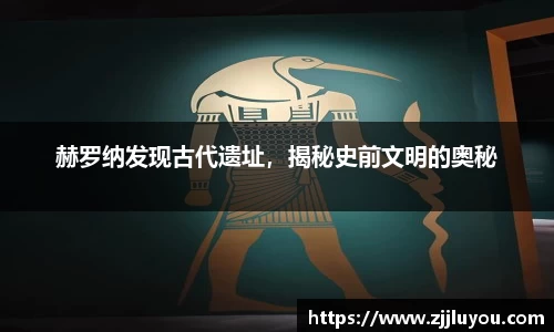 球速体育官方