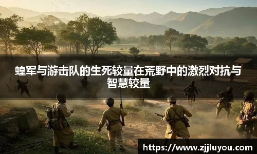 球速体育平台登录入口