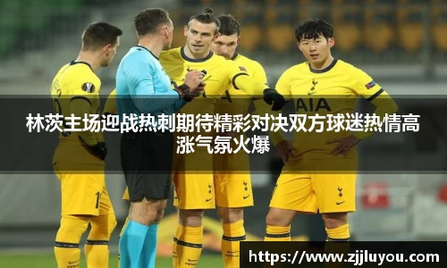 林茨主场迎战热刺期待精彩对决双方球迷热情高涨气氛火爆