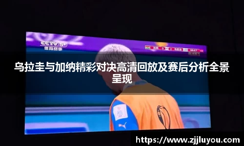 球速体育