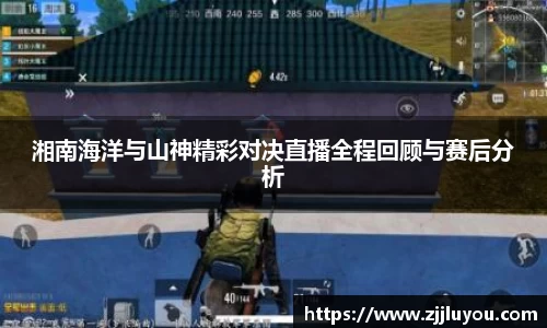 球速体育