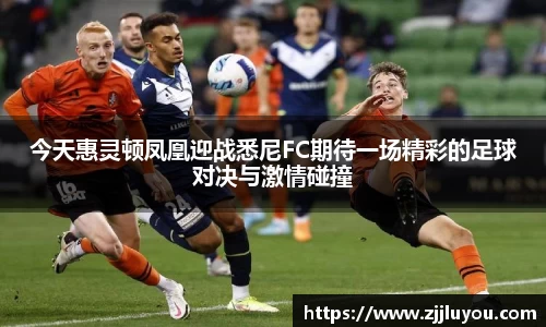 球速体育