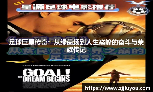 球速体育平台登录入口